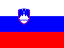 SL Flag